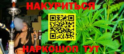 амф Кингисепп