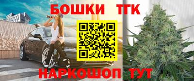 амф Кингисепп