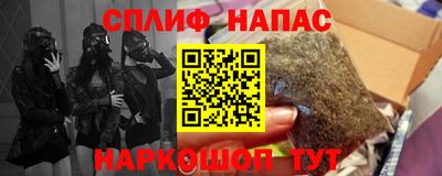 амф Кингисепп