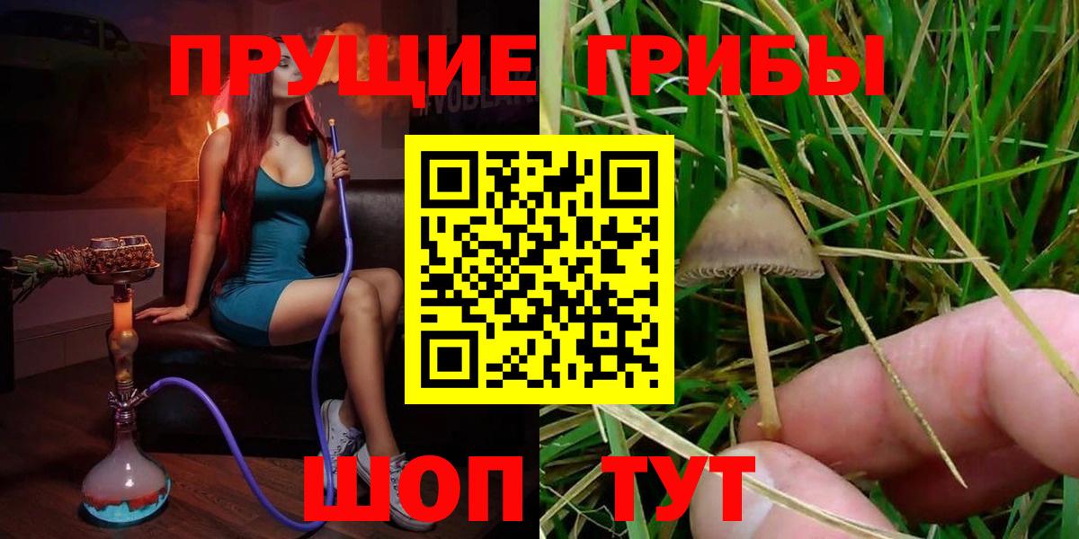 Галлюциногенные грибы ЛСД  Вход с VPN  Димитровград 
