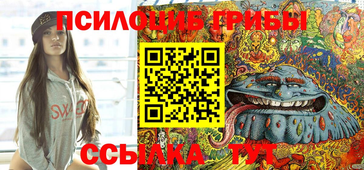 Псилоцибиновые грибы ЛСД Димитровград