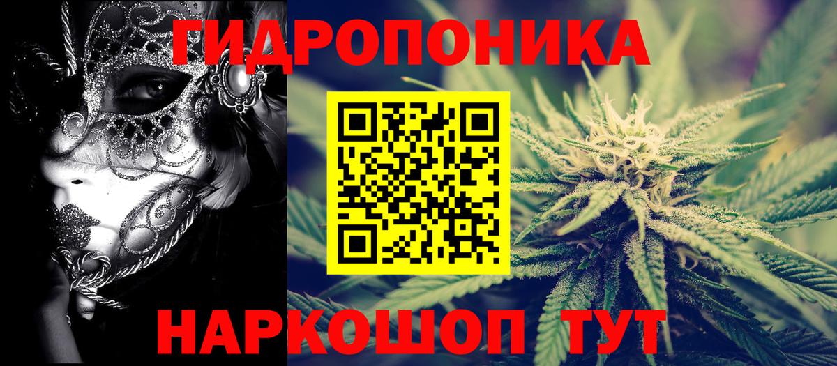 Шишки марихуана THC 21%  МАРИХУАНА тримм  МАРИХУАНА THC 21%  Димитровград  Вход с VPN 